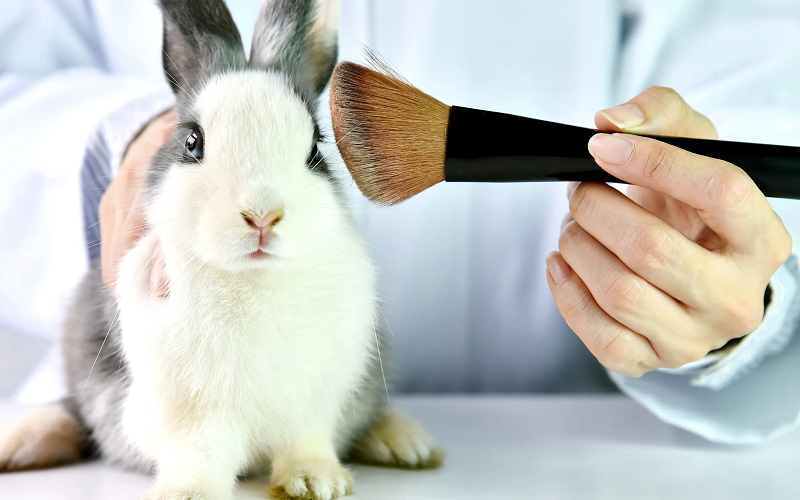 determining if products are cruelty free