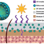 how nanoparticles in sunscreen work