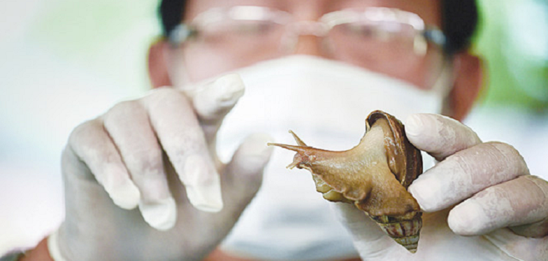 snail mucin skincare routine